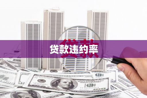 漯河贷款违约率