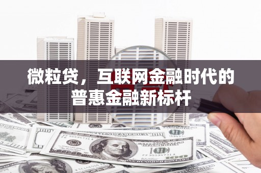 漯河微粒贷，互联网金融时代的普惠金融新标杆