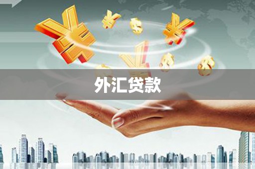 漯河外汇贷款
