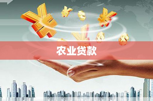 漯河农业贷款