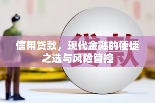 漯河信用贷款，现代金融的便捷之选与风险管控