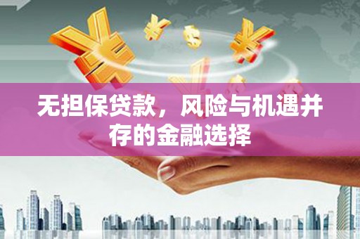 漯河无担保贷款，风险与机遇并存的金融选择