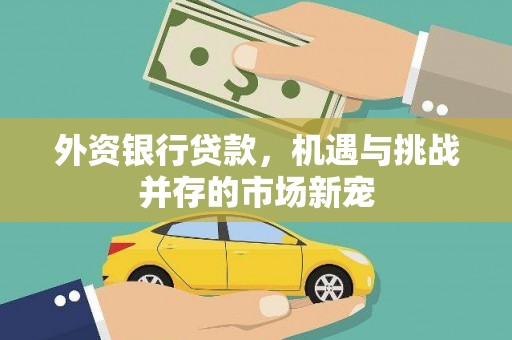 漯河外资银行贷款，机遇与挑战并存的市场新宠