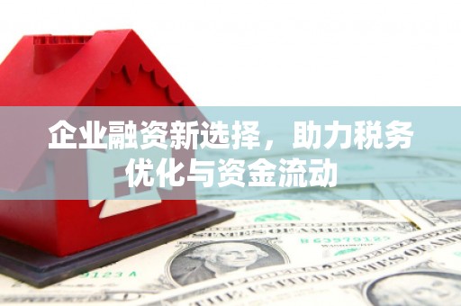 漯河企业融资新选择，助力税务优化与资金流动