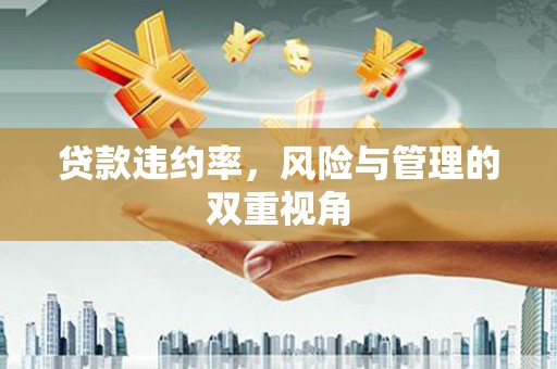 漯河贷款违约率，风险与管理的双重视角