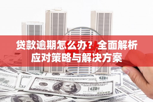 漯河贷款逾期怎么办？全面解析应对策略与解决方案