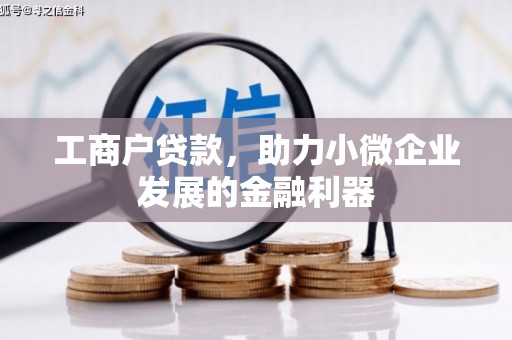 漯河工商户贷款,助力小微企业发展的金融利器 漯河工商户贷款,助力小微企业发展的金融利器
