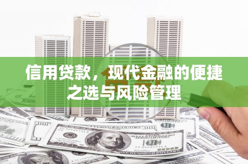 漯河信用贷款，现代金融的便捷之选与风险管理