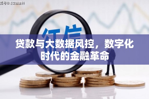 漯河贷款与大数据风控，数字化时代的金融革命