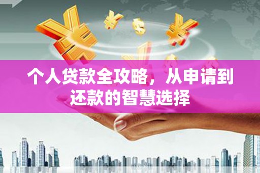 漯河个人贷款全攻略，从申请到还款的智慧选择