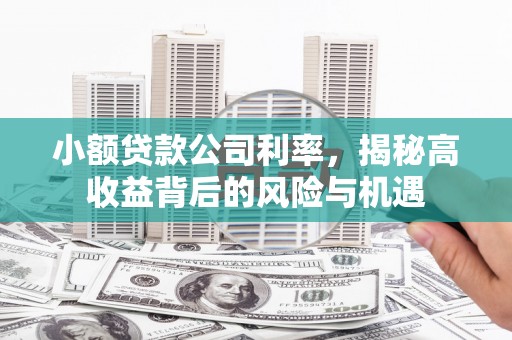 漯河小额贷款公司利率，揭秘高收益背后的风险与机遇