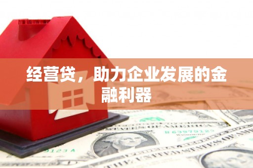 漯河经营贷，助力企业发展的金融利器