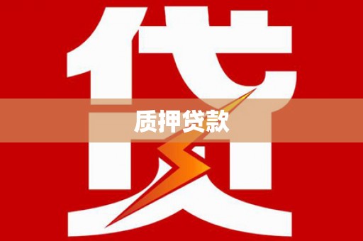 漯河质押贷款