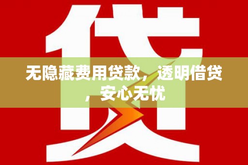 漯河无隐藏费用贷款，透明借贷，安心无忧