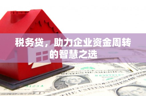 漯河税务贷，助力企业资金周转的智慧之选