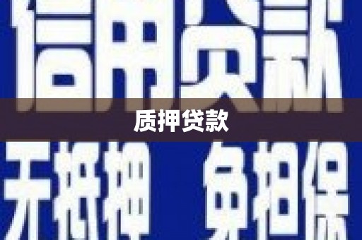 漯河质押贷款