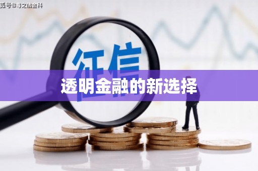 漯河透明金融的新选择