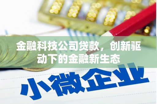 漯河金融科技公司贷款，创新驱动下的金融新生态