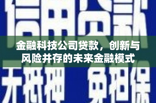 漯河金融科技公司贷款，创新与风险并存的未来金融模式