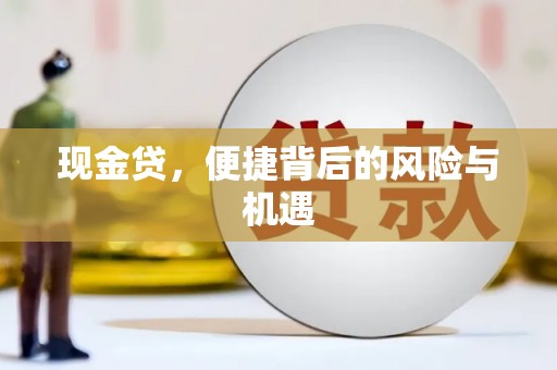 漯河现金贷，便捷背后的风险与机遇