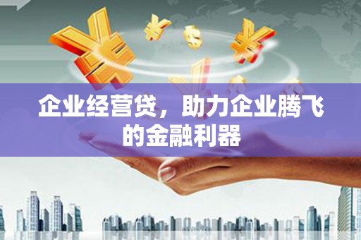漯河企业经营贷，助力企业腾飞的金融利器
