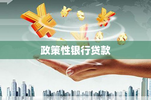 漯河政策性银行贷款