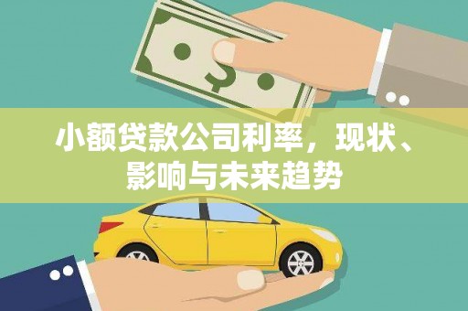 漯河小额贷款公司利率，现状、影响与未来趋势