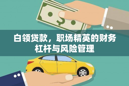 漯河白领贷款，职场精英的财务杠杆与风险管理