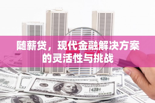 漯河随薪贷，现代金融解决方案的灵活性与挑战