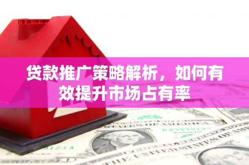 漯河贷款推广策略解析，如何有效提升市场占有率