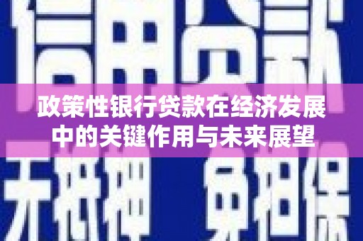 漯河政策性银行贷款在经济发展中的关键作用与未来展望