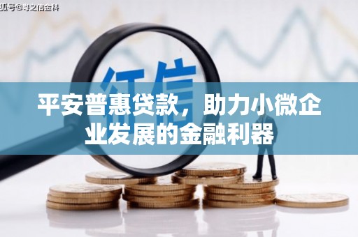 漯河平安普惠贷款，助力小微企业发展的金融利器
