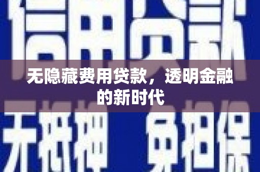 漯河无隐藏费用贷款，透明金融的新时代