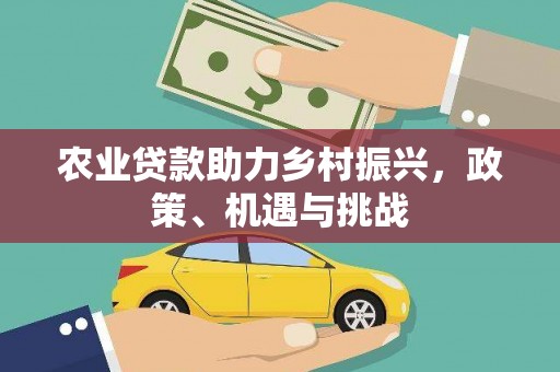 漯河农业贷款助力乡村振兴，政策、机遇与挑战