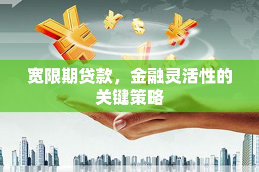 漯河宽限期贷款，金融灵活性的关键策略