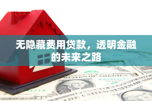 漯河无隐藏费用贷款，透明金融的未来之路