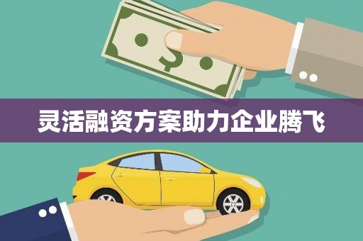 漯河灵活融资方案助力企业腾飞