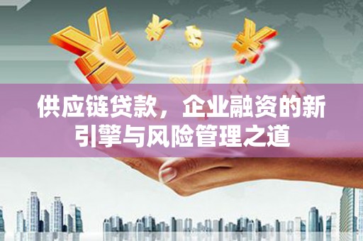 漯河供应链贷款，企业融资的新引擎与风险管理之道