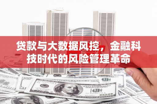 漯河贷款与大数据风控，金融科技时代的风险管理革命