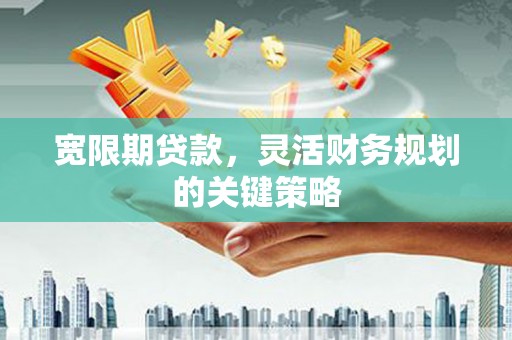 漯河宽限期贷款，灵活财务规划的关键策略