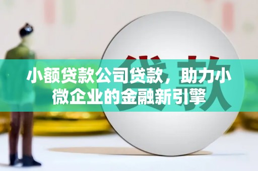 漯河小额贷款公司贷款，助力小微企业的金融新引擎