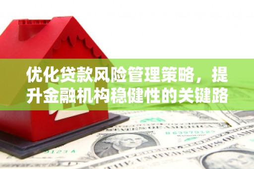漯河优化贷款风险管理策略，提升金融机构稳健性的关键路径