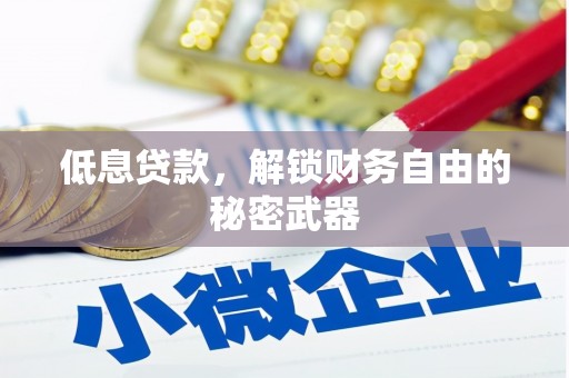 漯河低息贷款，解锁财务自由的秘密武器