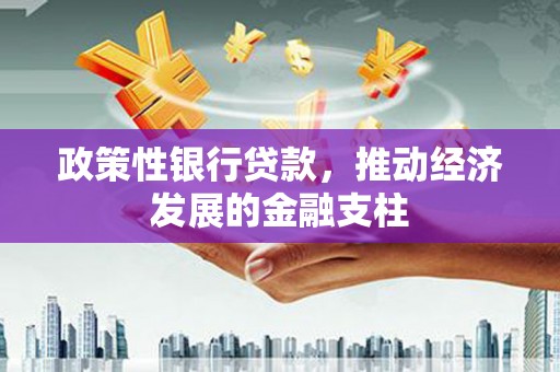 漯河政策性银行贷款，推动经济发展的金融支柱