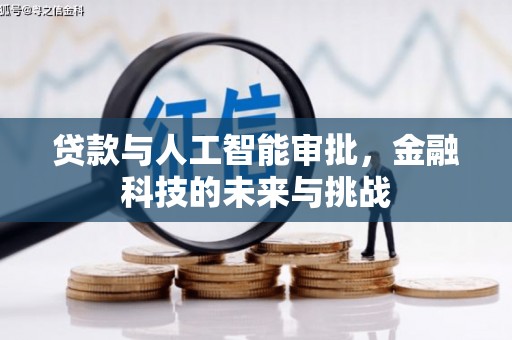 漯河贷款与人工智能审批，金融科技的未来与挑战