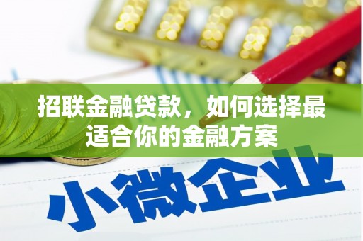 漯河招联金融贷款，如何选择最适合你的金融方案