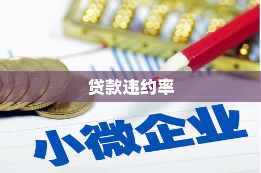 漯河贷款违约率
