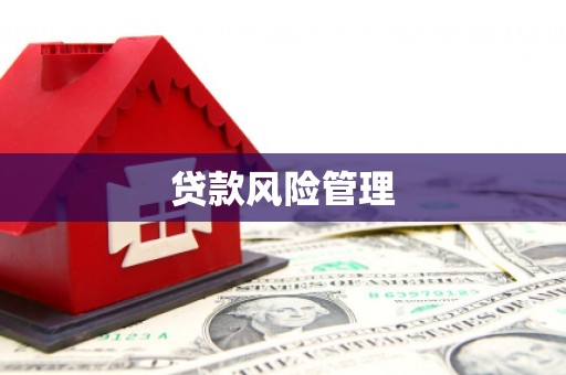漯河贷款风险管理