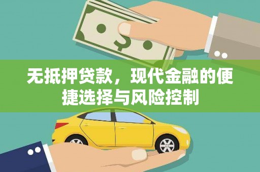 漯河无抵押贷款，现代金融的便捷选择与风险控制
