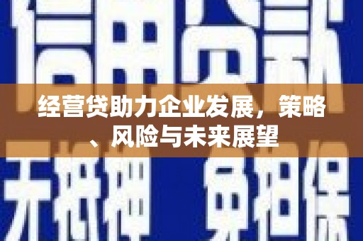 漯河经营贷助力企业发展，策略、风险与未来展望